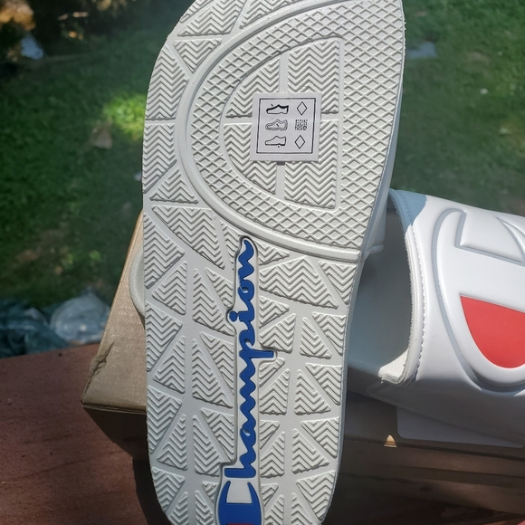 Champion Slides - Picture 2 of 4